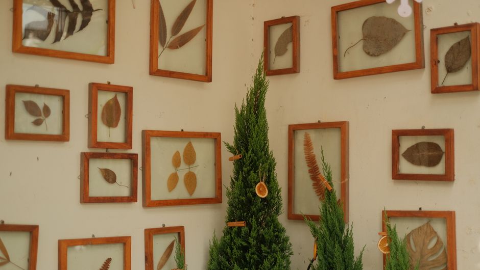 Golden Flower Preservation Craft