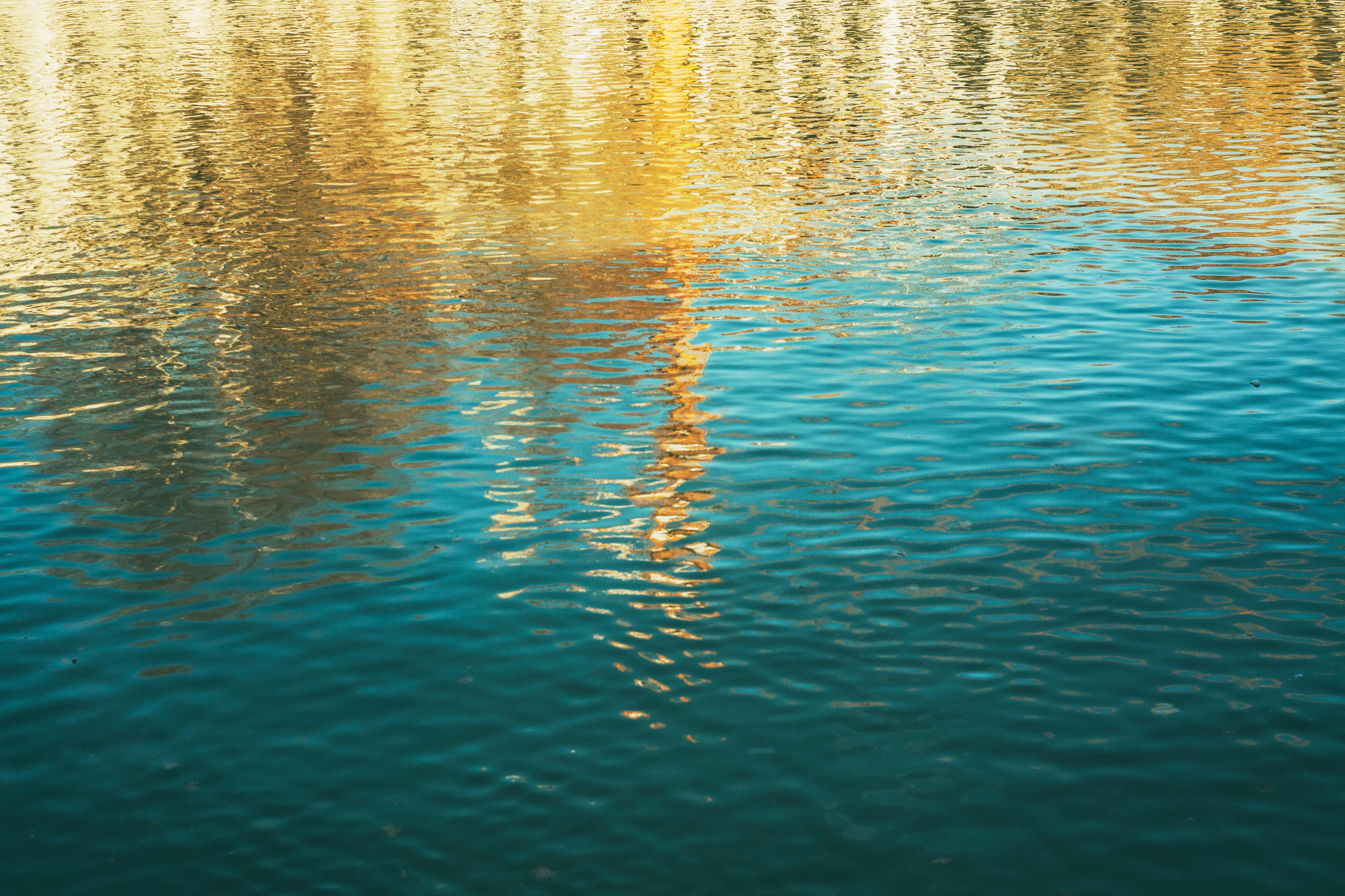 غداء وداع في كروننهالي