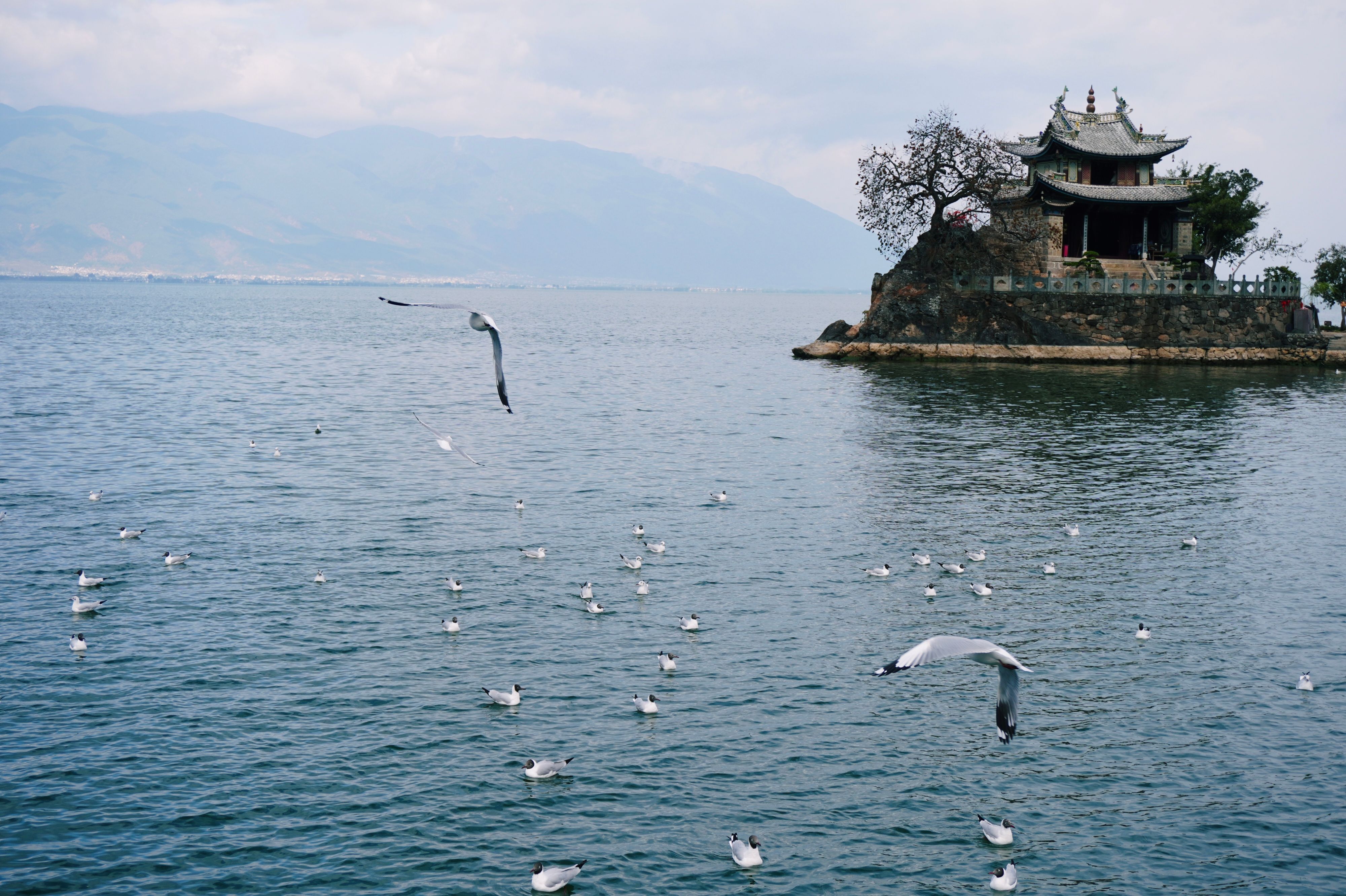 拉市海骑马