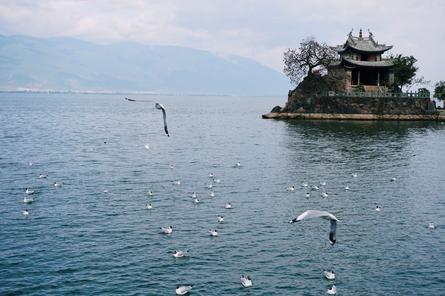 云南大理洱海黄昏