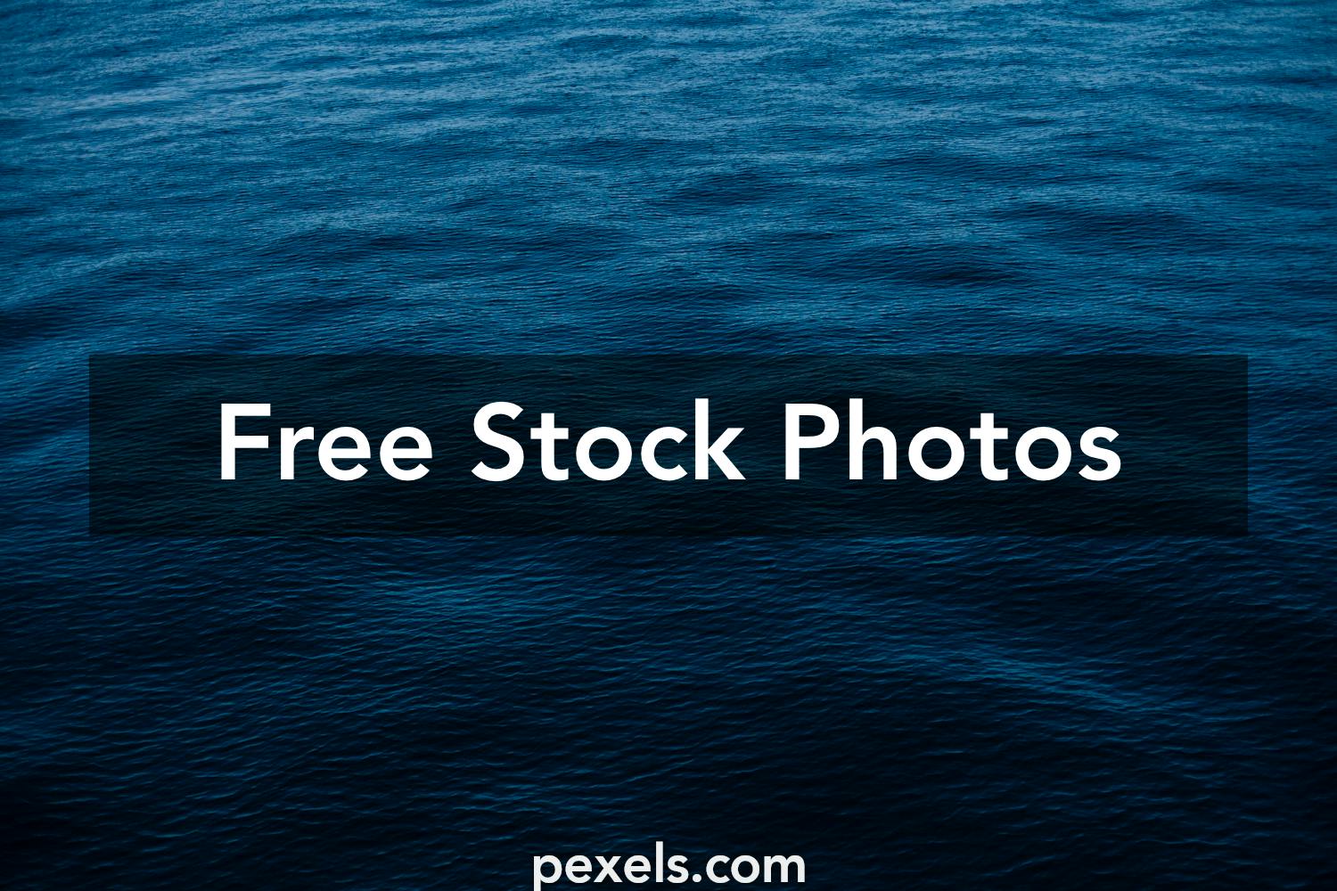 1000+ Amazing Navy Blue Photos Pexels · Free Stock Photos