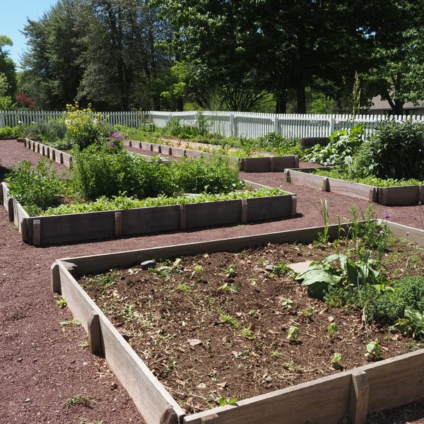 17" Metal Raised Bed, 8x4