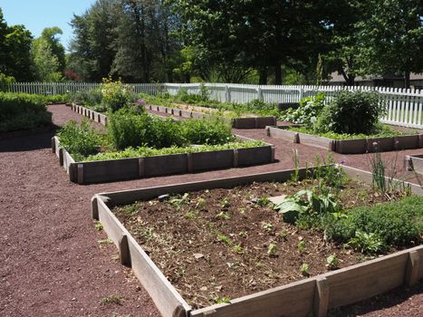 Garden Bed Cleanup