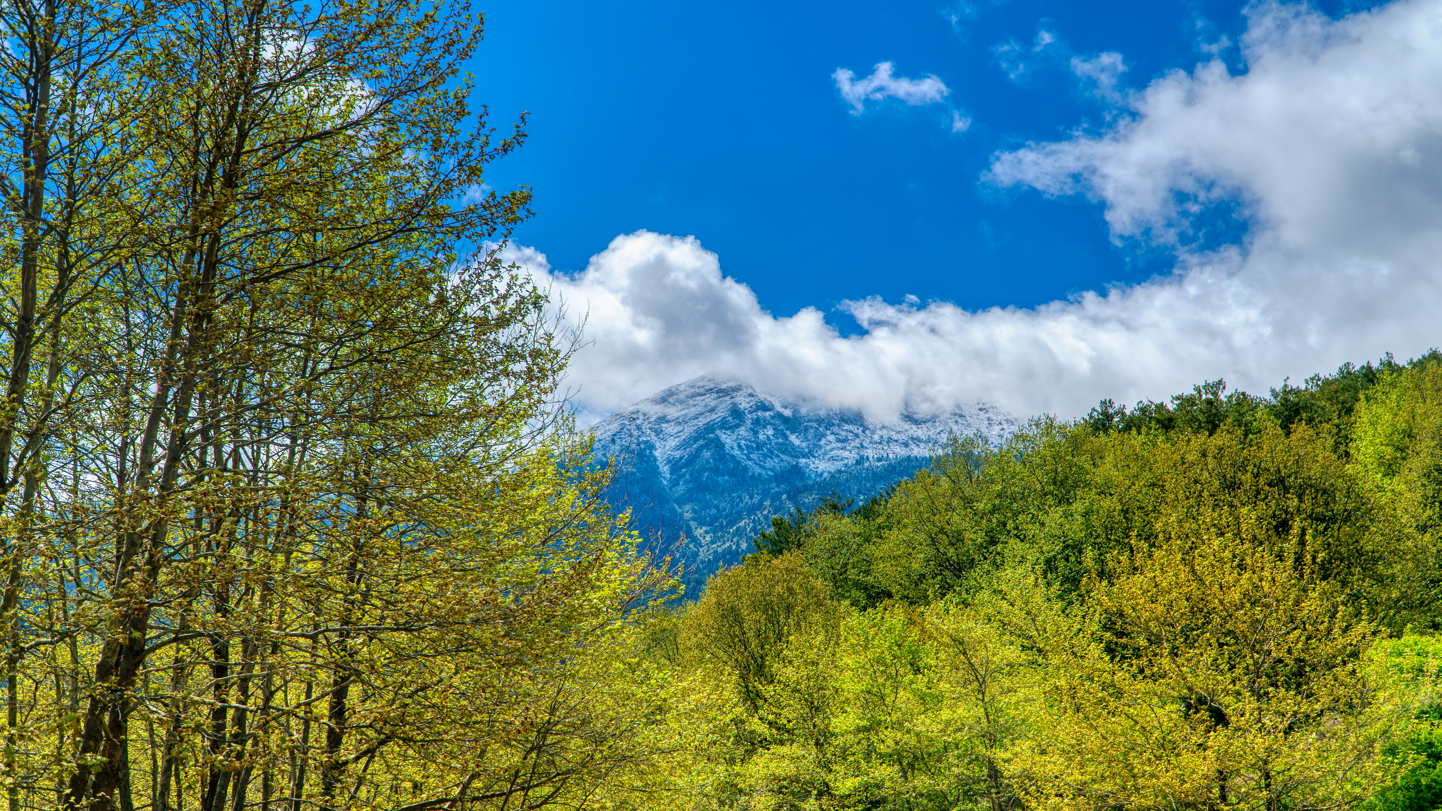 Stemnitsa, Arcadia · φωτογραφία περιοχής 3