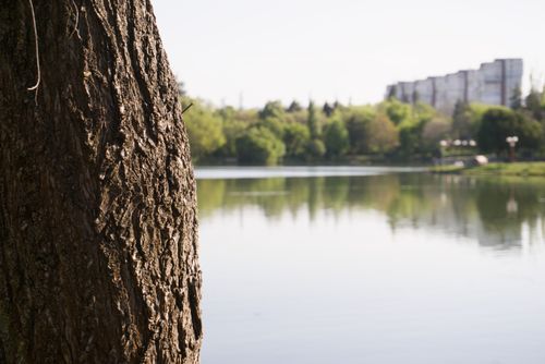 Free stock photo of blurry, lake, on a background Stock Photo