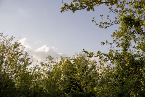 Free stock photo of blue sky, nature, sunset Stock Photo
