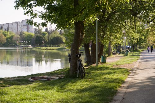 Free stock photo of bicycle, lake, nature Stock Photo