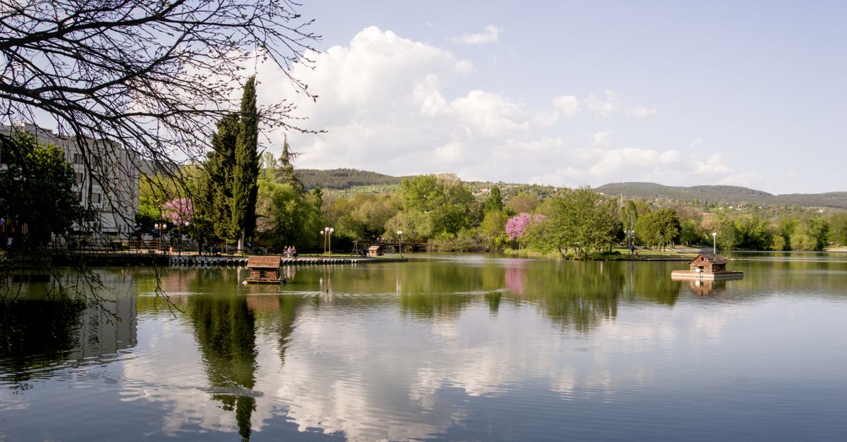 Serene lake surrounded by trees in Stara Zagora, Bulgaria, during springtime.