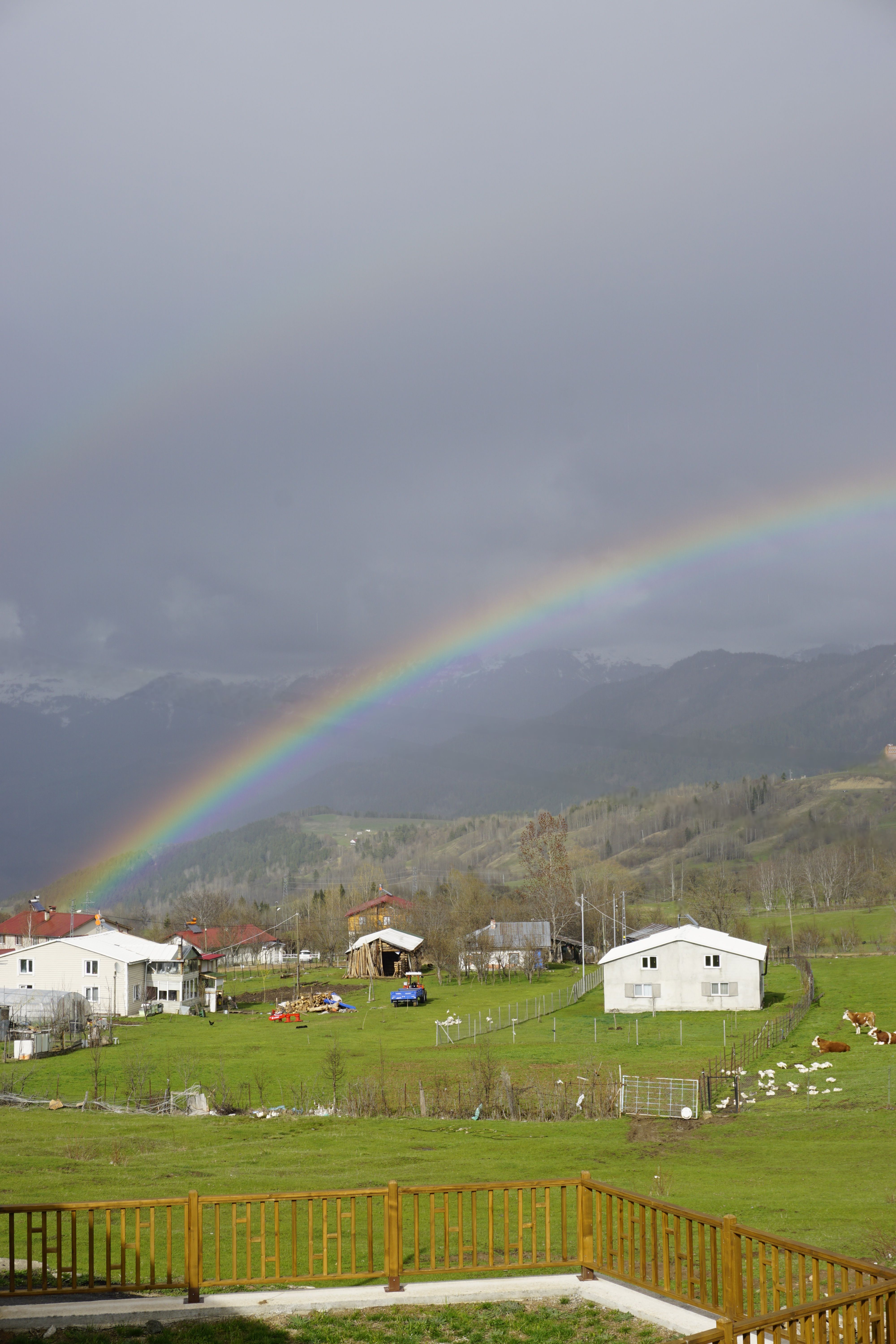 Scenic Rural Landscape with Vibrant Rainbow · Free Stock Photo