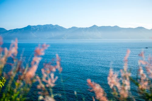 Gratis lagerfoto af bjerg, blå hav, havudsigt