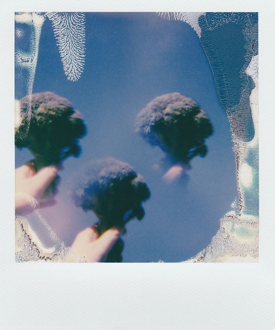 Creative abstract image of broccoli reflected three times in a polaroid-style composition.