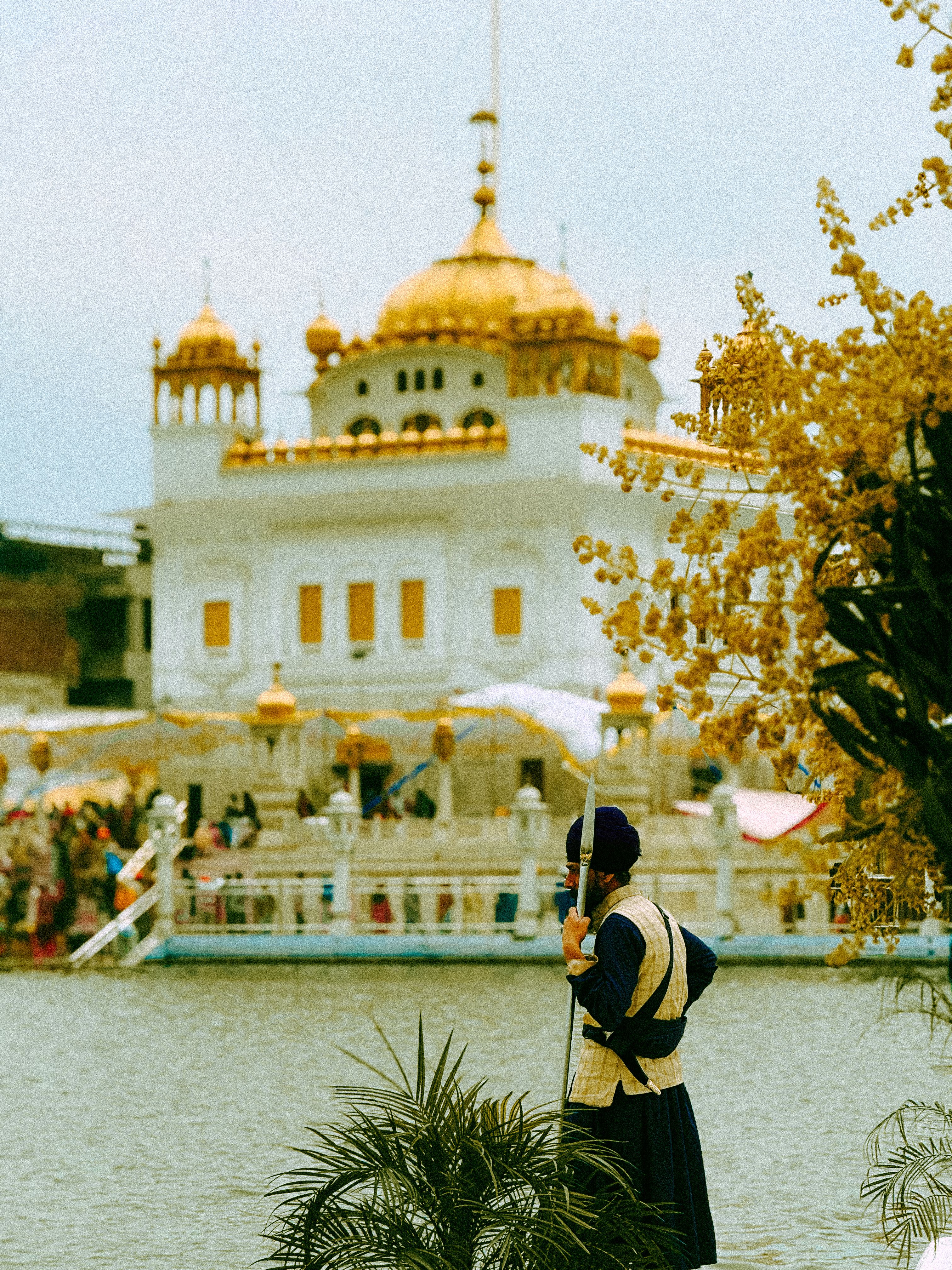 A Sikh guard stands by the Golden Temple in Amritsar, India, overlooking the serene waters.
