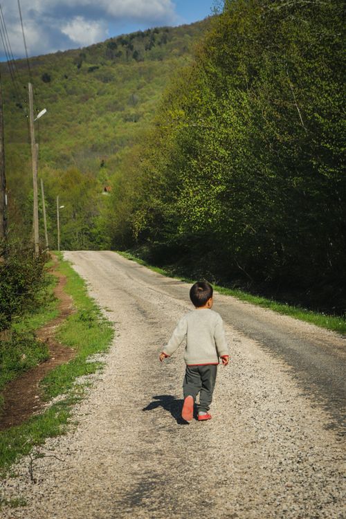 Free A young child in a sweater walks down a rural path surrounded by lush greenery under a clear sky. Stock Photo