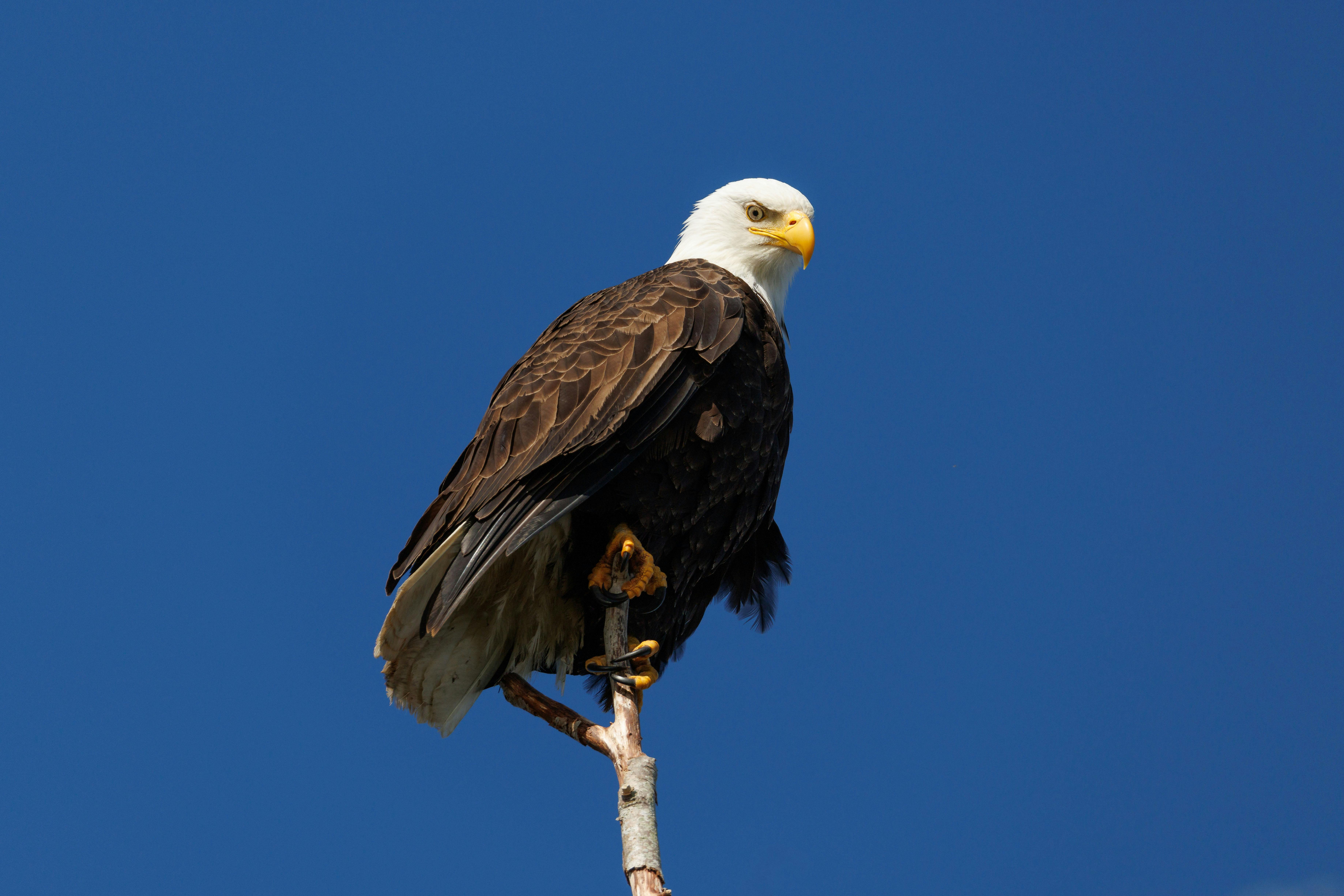 State Parks Series: Bald Eagle State Park has a plethora of outdoor recreation to choose from — Photo by Veronika Andrews on 