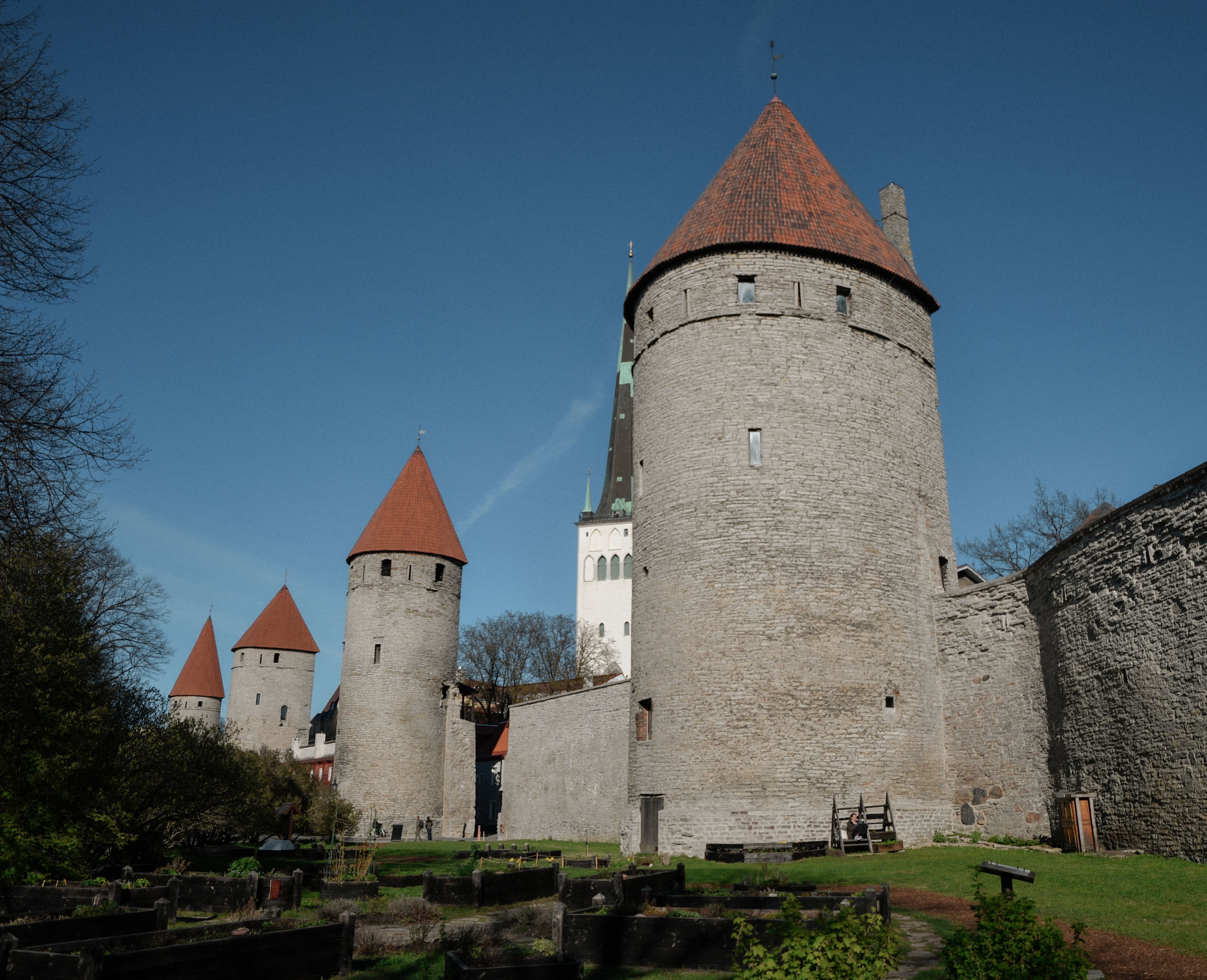 Medieval stone towers with red-tiled roofs rise along Tallinn's old city wall beneath a clear blue sky