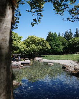 Peaceful park view with pond, greenery, and clear blue sky in Redmond, WA.