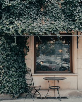 Cozy cafe facade in Wrocław, Poland, with ivy vines and outdoor seating.