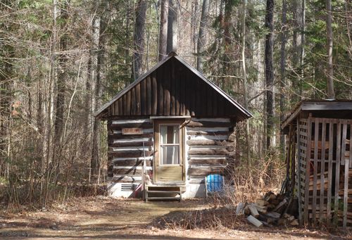 Free A quaint rustic cabin surrounded by tall pines in the woods of Combermere, Ontario, Canada. Stock Photo