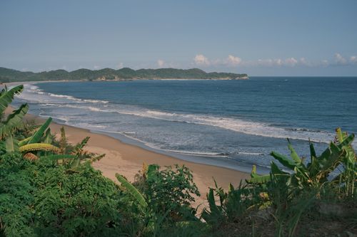 Free A tranquil tropical beach scene with lush greenery and calm blue waters under a clear sky. Stock Photo