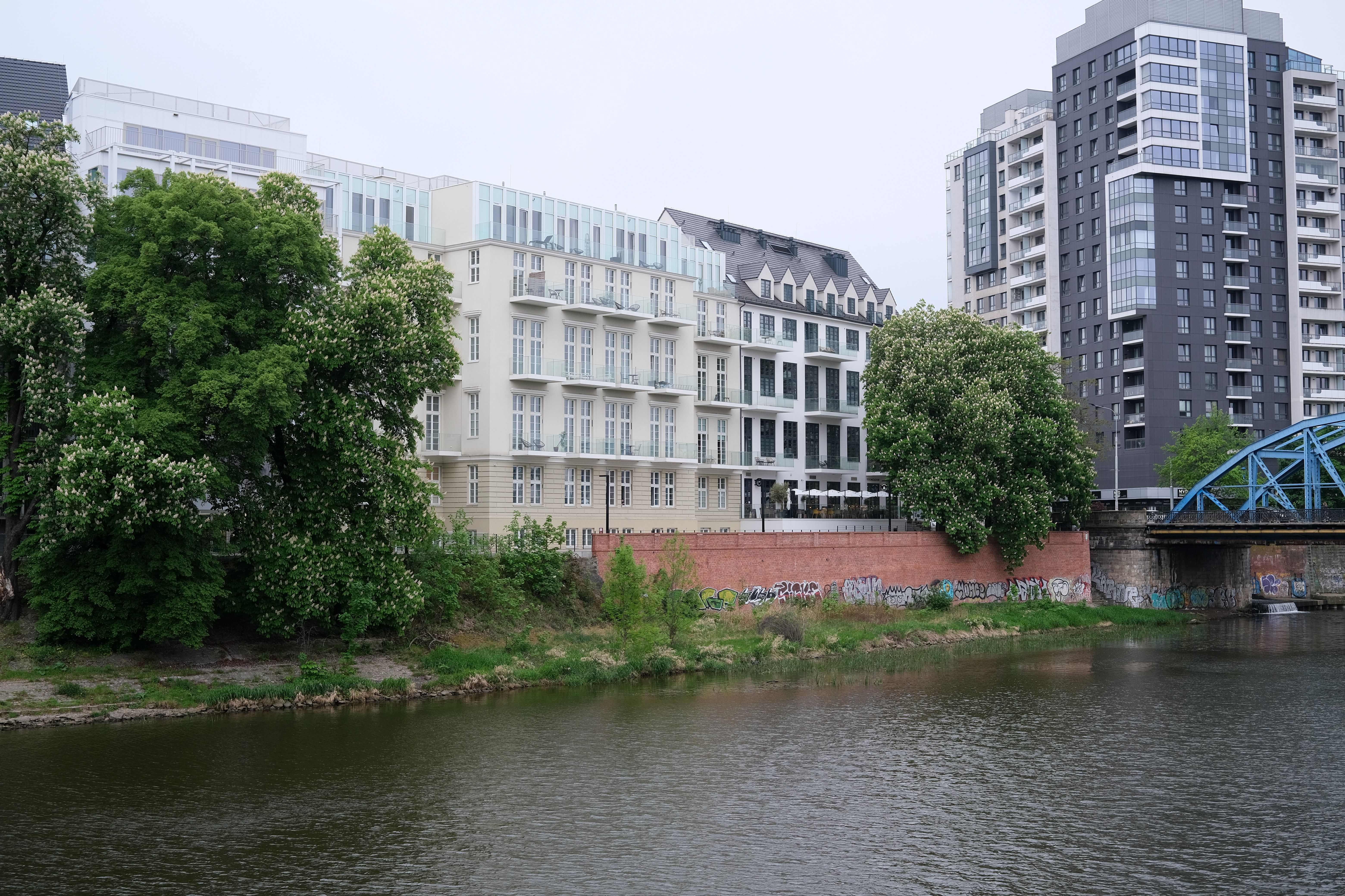Radweg entlang eines Flusses mit Blick auf Bäume