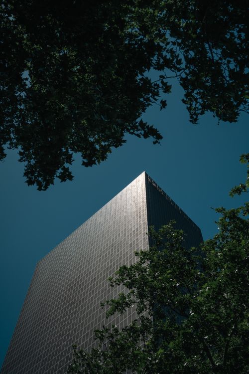 Free A sleek skyscraper framed by lush trees under a clear blue sky in Nanjing, China. Stock Photo