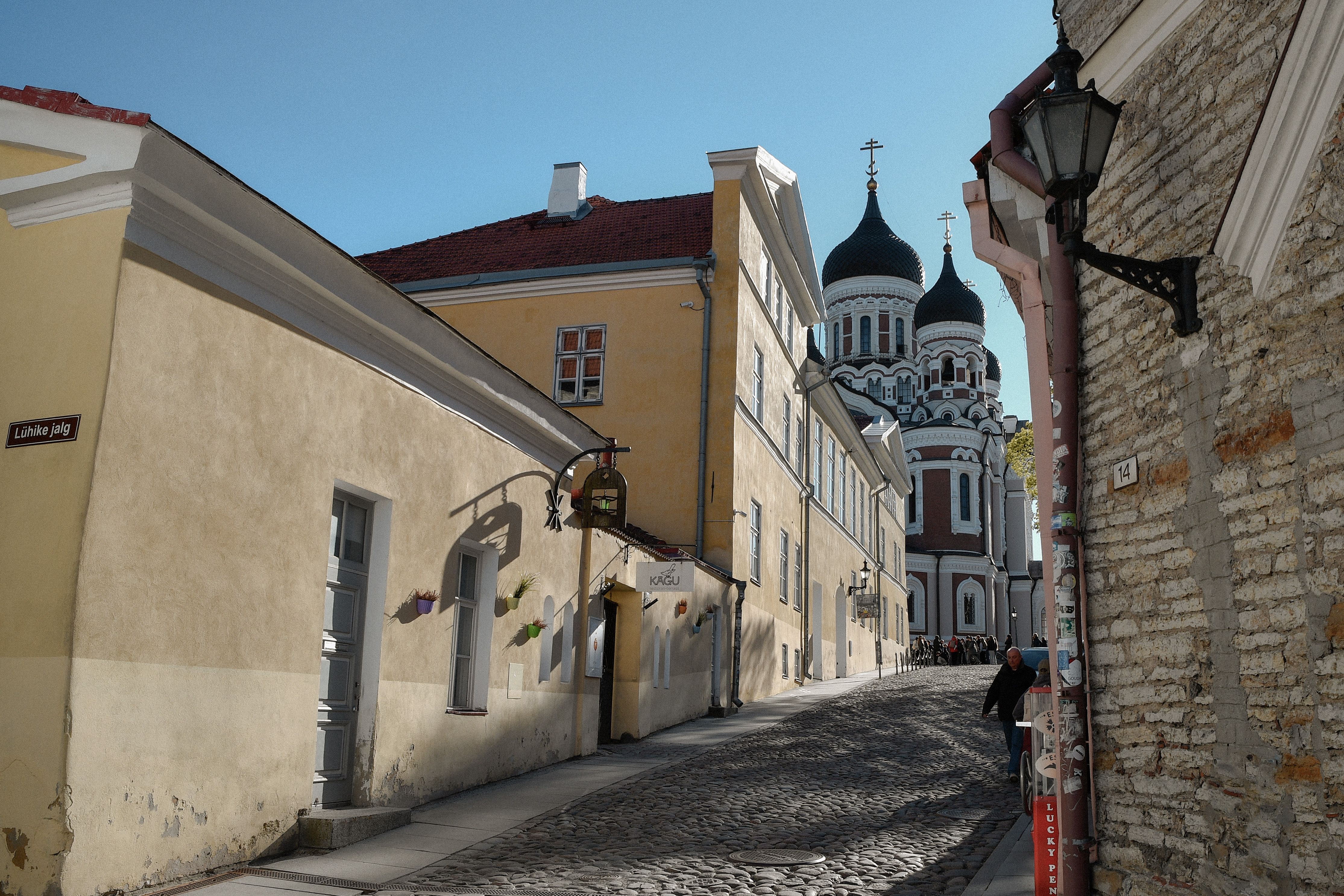 Dog on a leash outside a Tallinn boutique hotel
