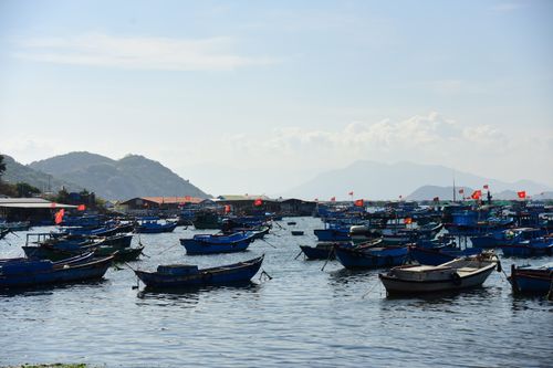 Free A picturesque harbor full of traditional fishing boats with flags under a clear sky. Stock Photo
