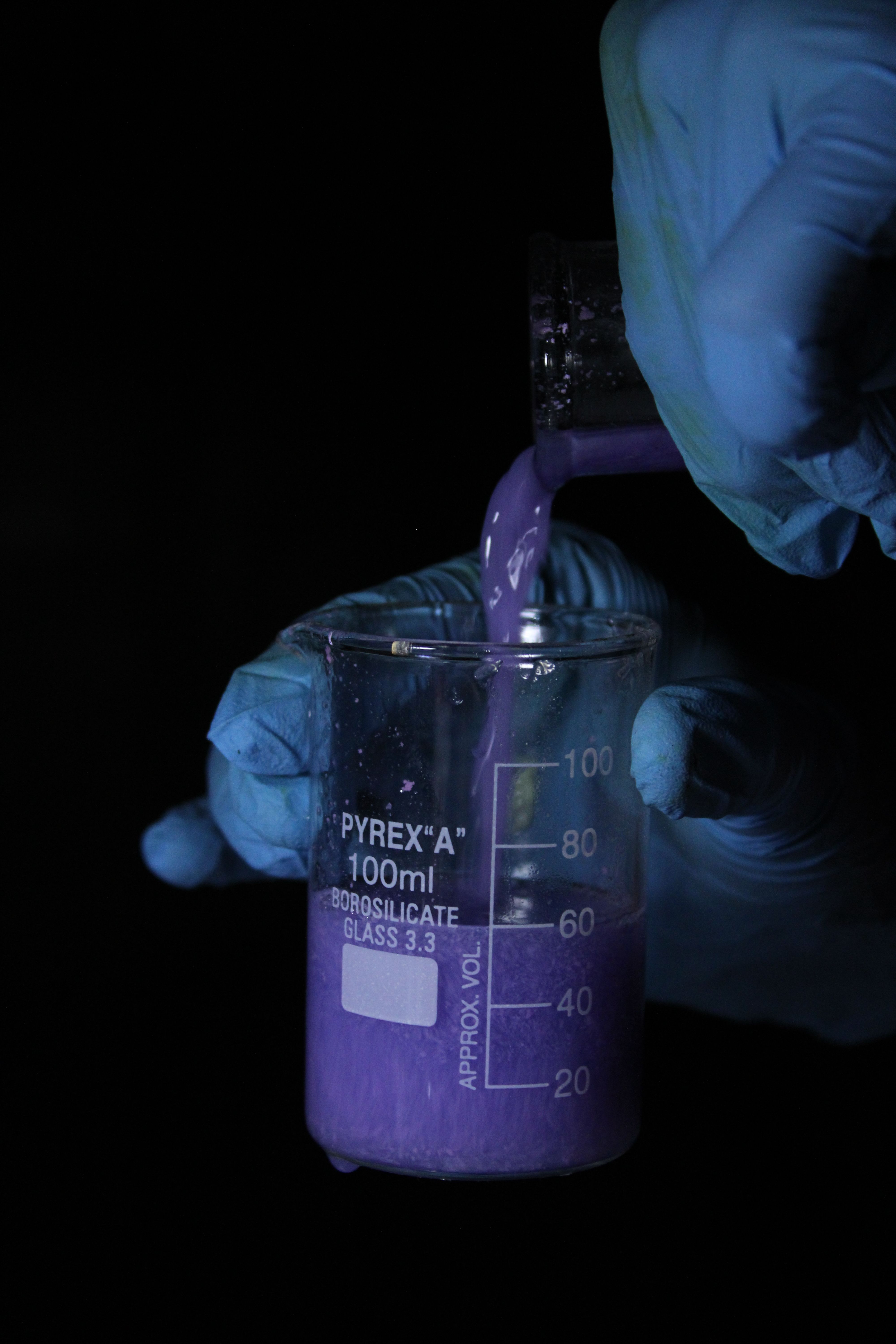 Close-up of gloved hands pouring purple liquid into a 100ml Pyrex beaker.