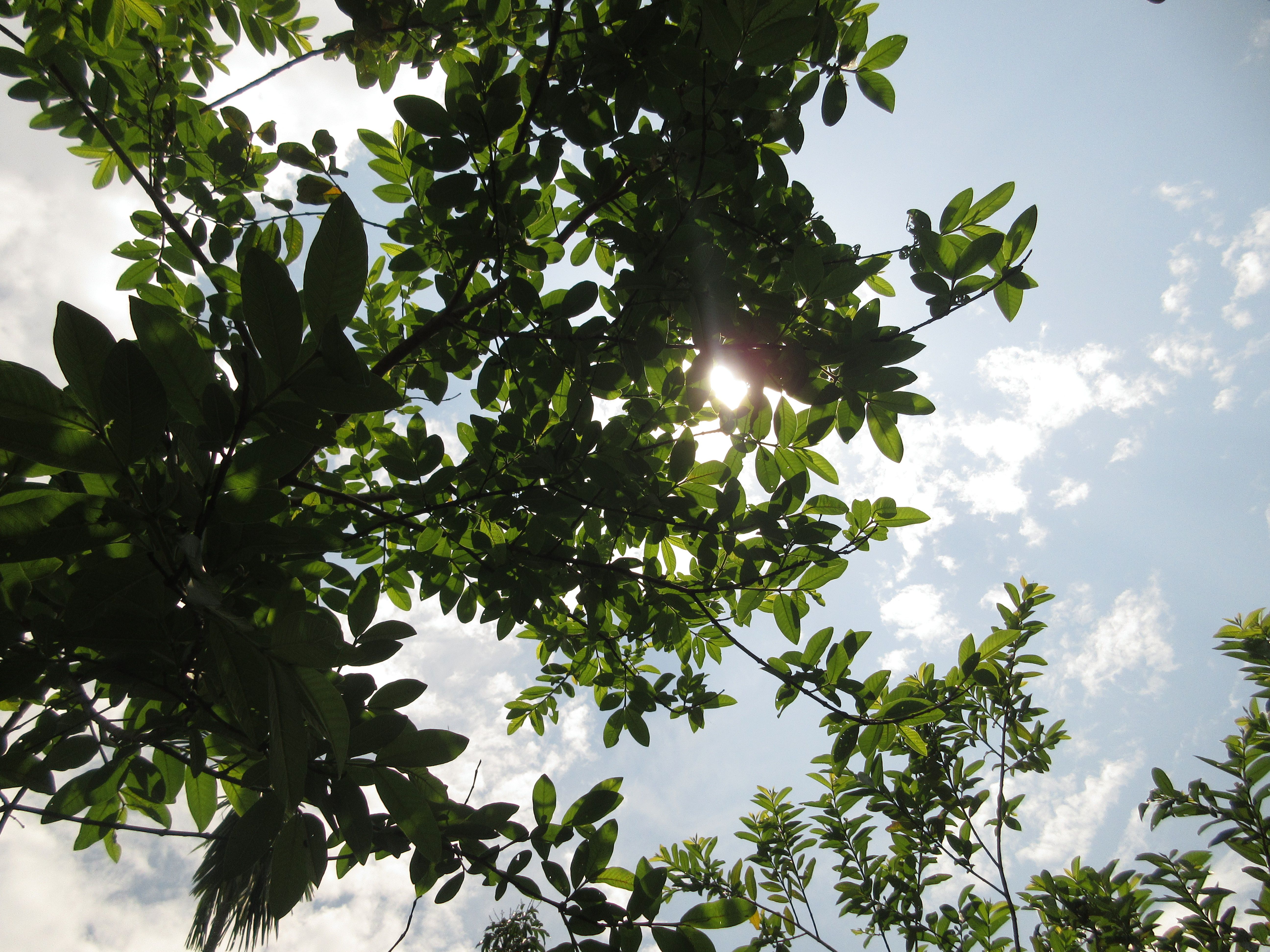 Can You Skip Vitamin D Supplements in Summer? Experts Weigh In