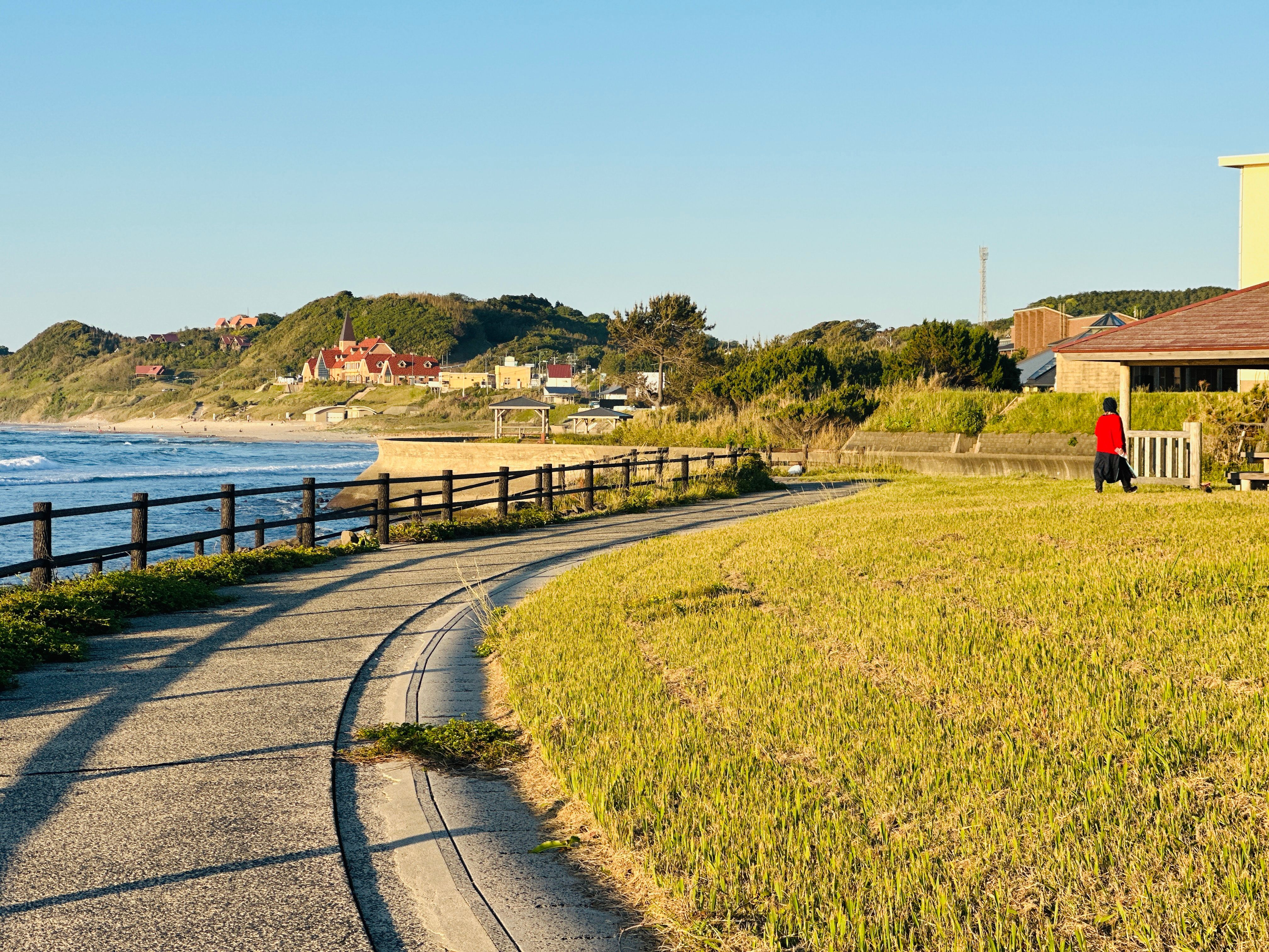 Serene coastal pathway with ocean view and distant hillside homes during summer day.