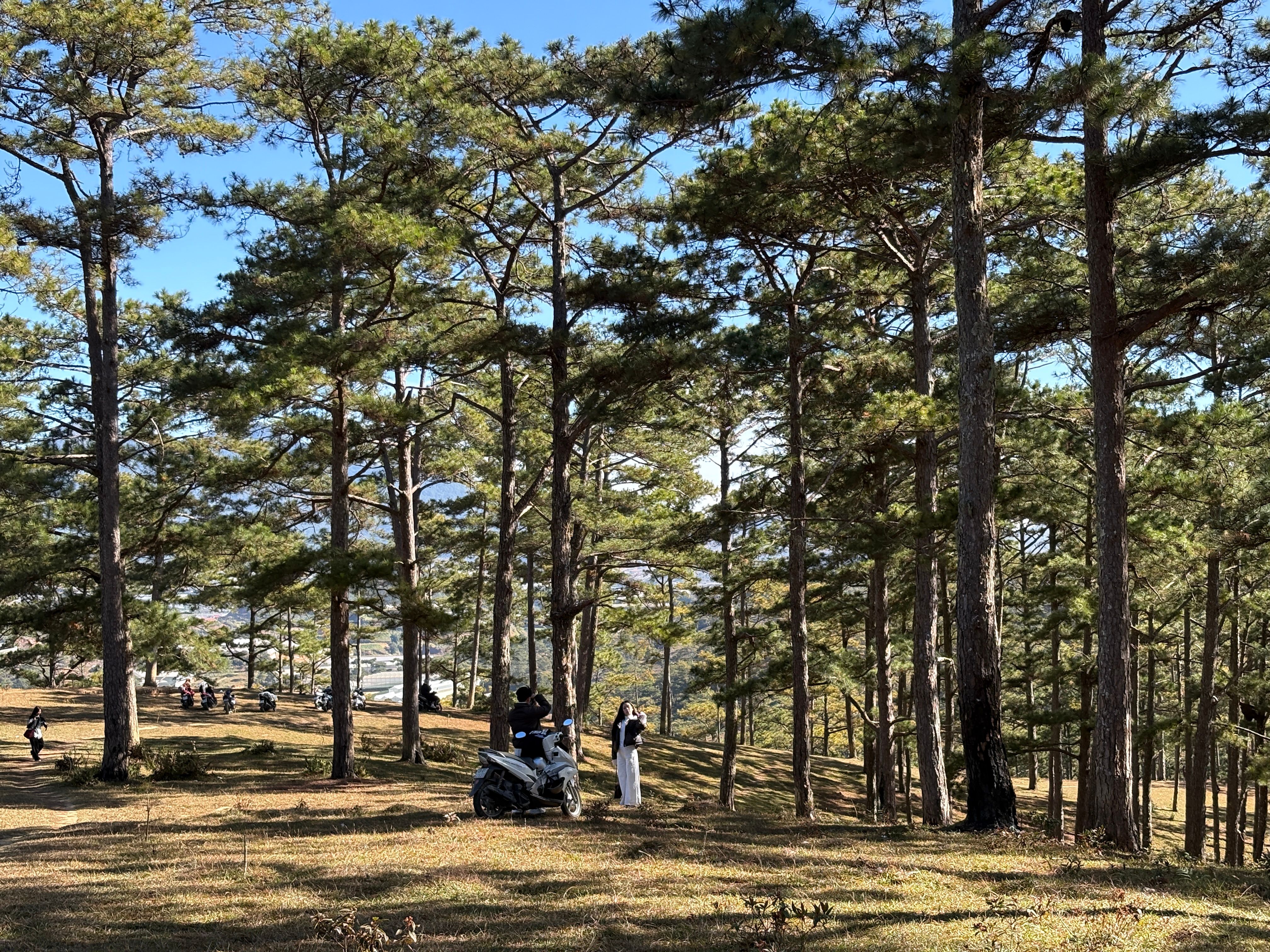 필리핀 황제 세부 골프 여행: 필리핀에서의 특별한 경험과 팁 공유 이미지 1