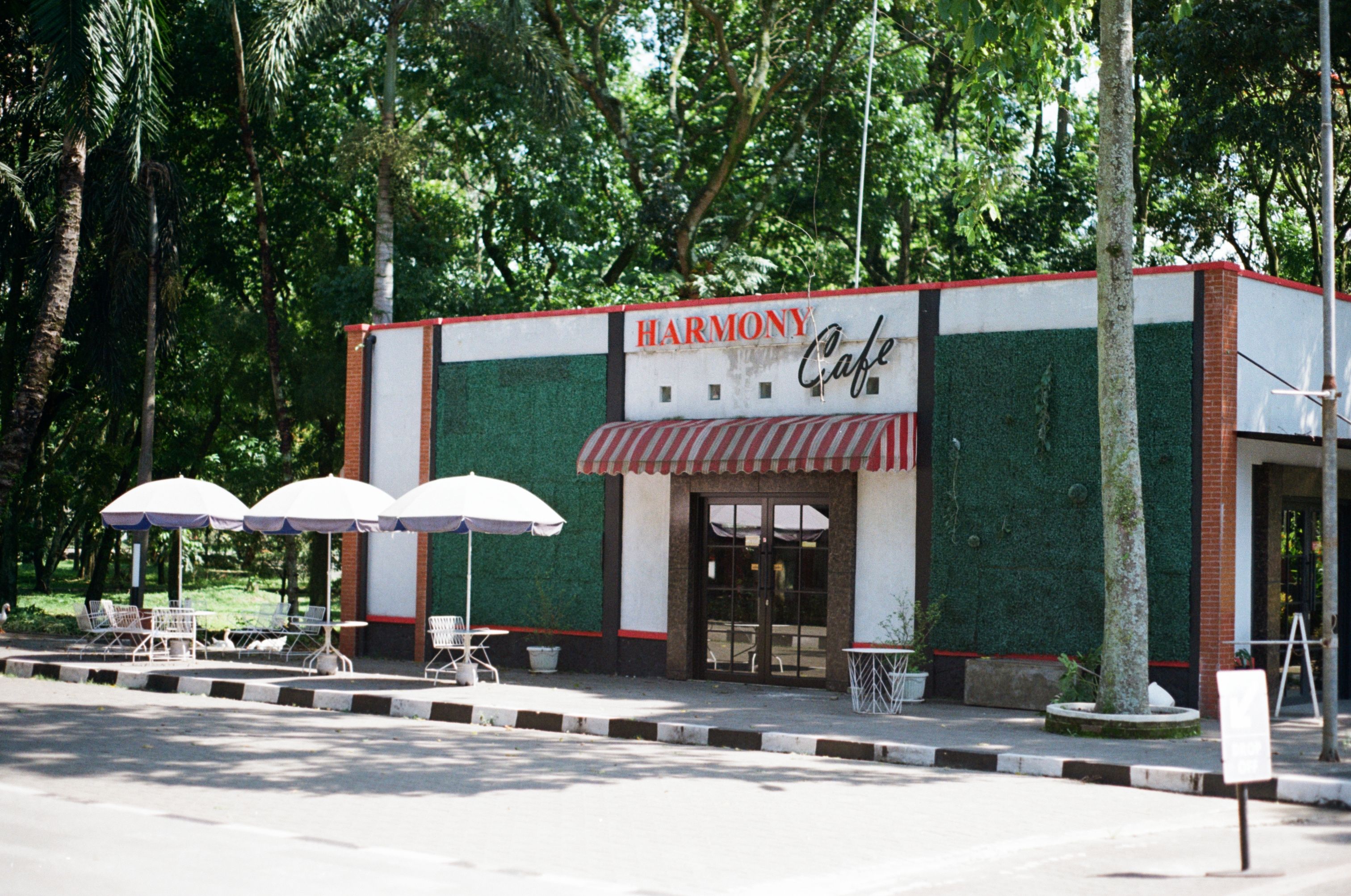 Júnior Lanches