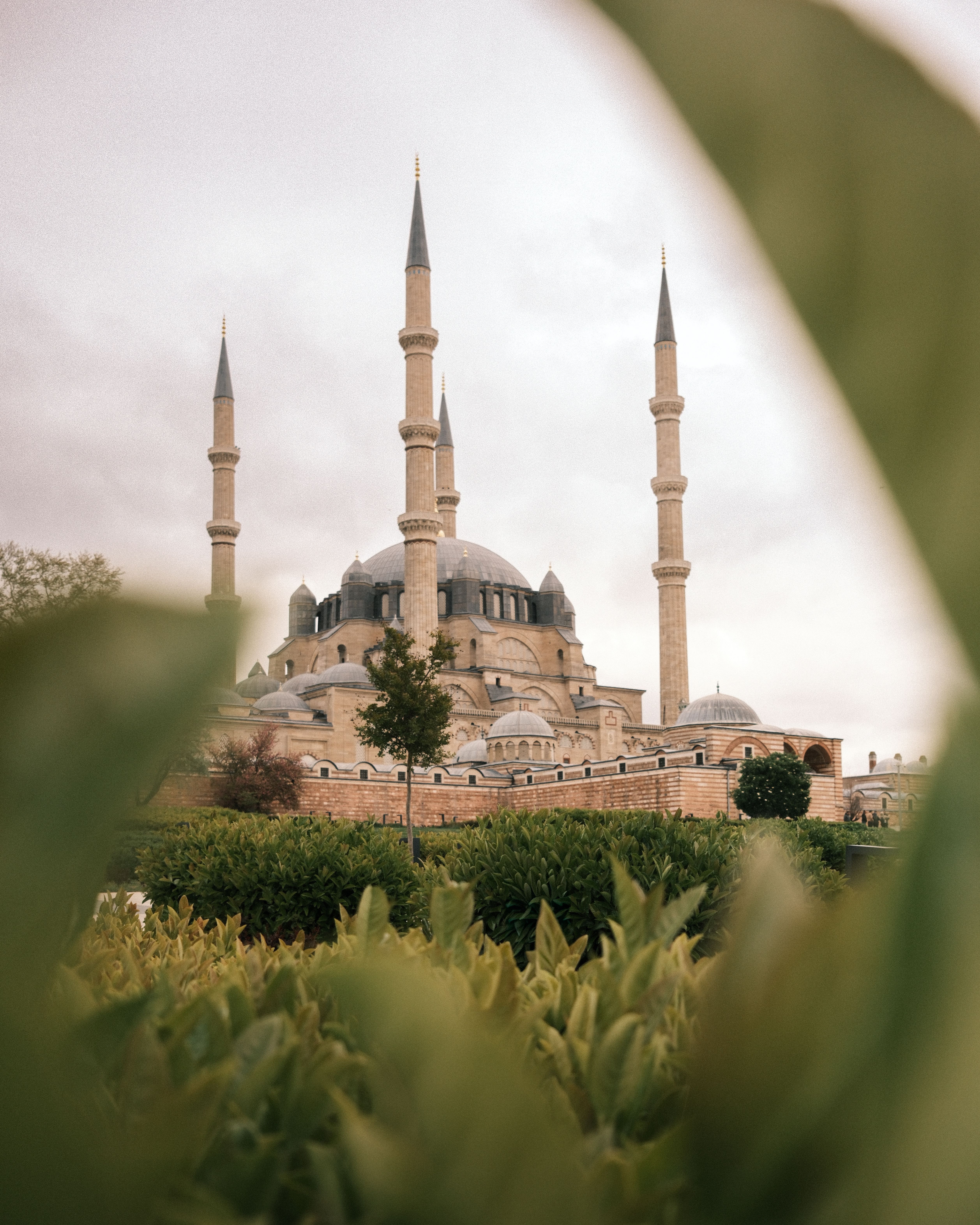 Beautiful view of the iconic Selimiye Mosque framed by lush greenery in a serene setting.
