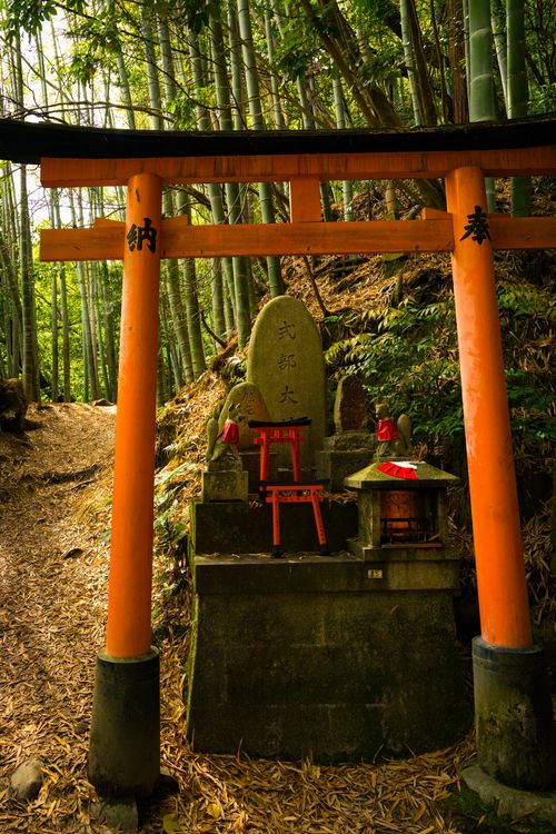 Free A vibrant torii gate amidst lush bamboo in Kyoto, Japan, showcasing traditional Shinto architecture. Stock Photo