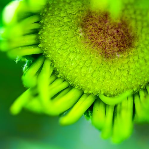 Free stock photo of art, eyes2soul Stock Photo
