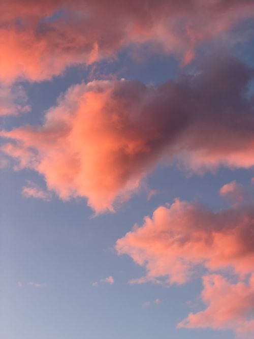 Free A captivating view of pastel pink clouds at sunset against a clear blue sky, creating a serene mood. Stock Photo