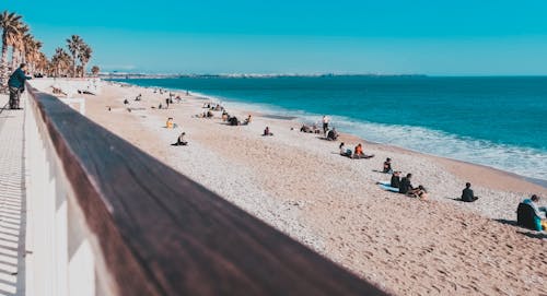 Photo Of People On Beach During Daytime