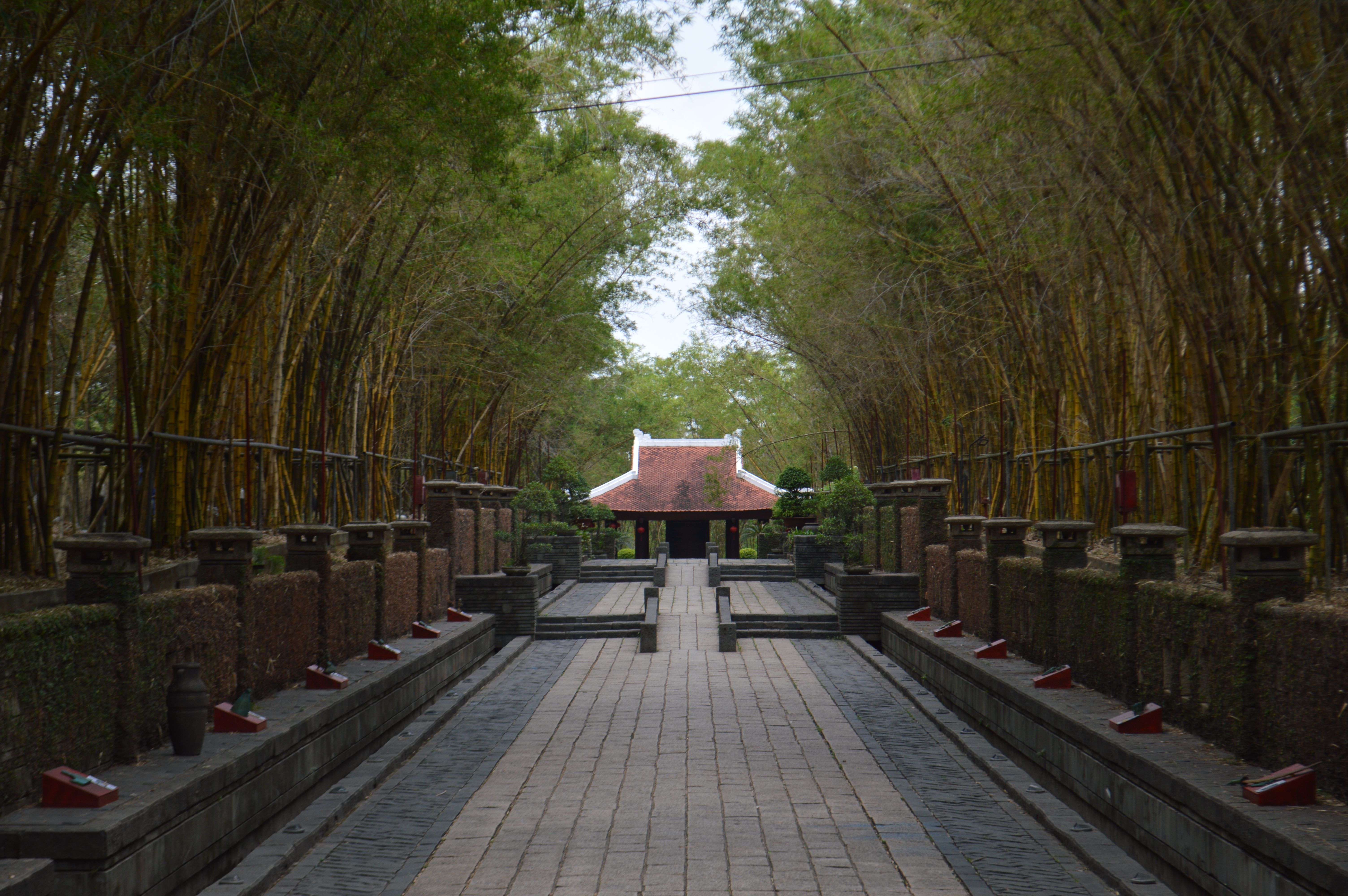 Serene Bamboo Pathway Leading to Traditional Pavilion