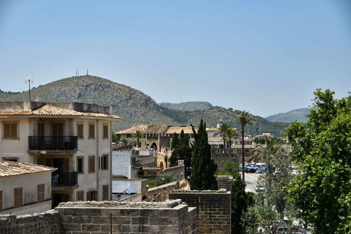 Transfer to Alcudia