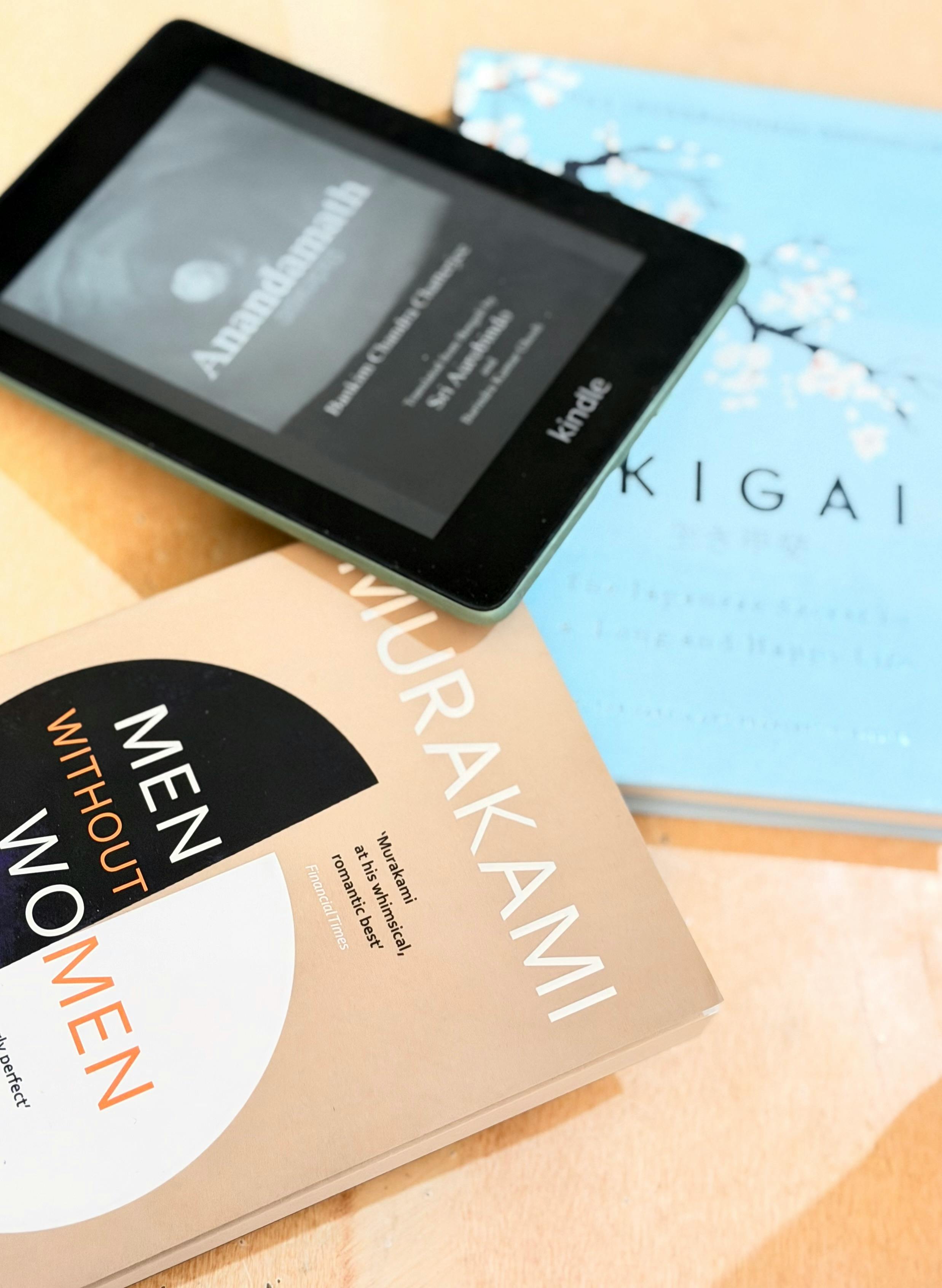 4.Kindle Krusher Cover