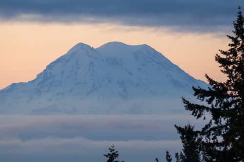 Free A serene view of Mount Rainier at sunrise, with mist and silhouetted trees in Washington, USA. Stock Photo