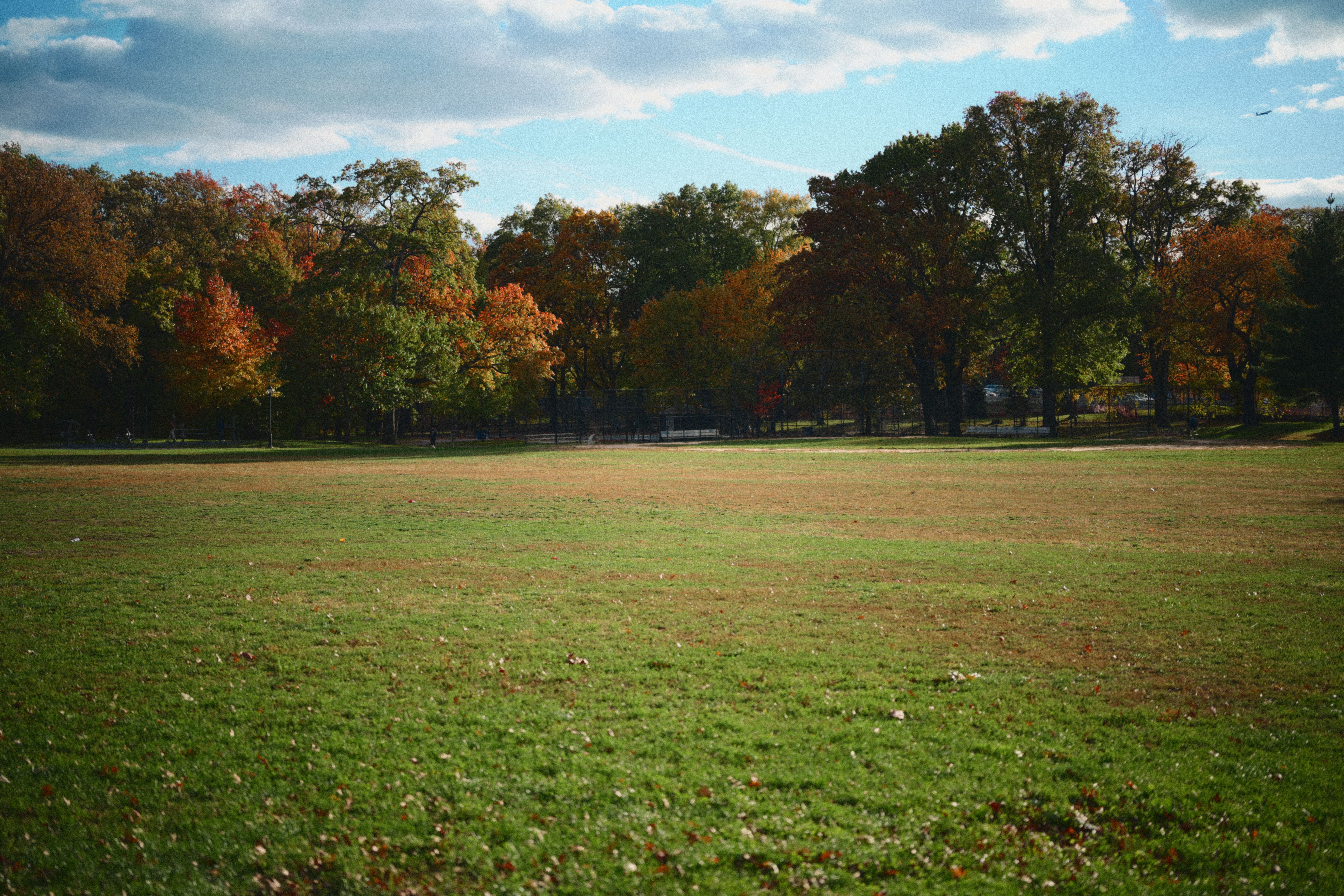 Vibrant autumn park scene with colorful trees and clear sky.