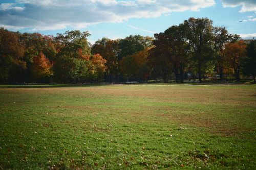 Free Vibrant autumn park scene with colorful trees and clear sky. Stock Photo