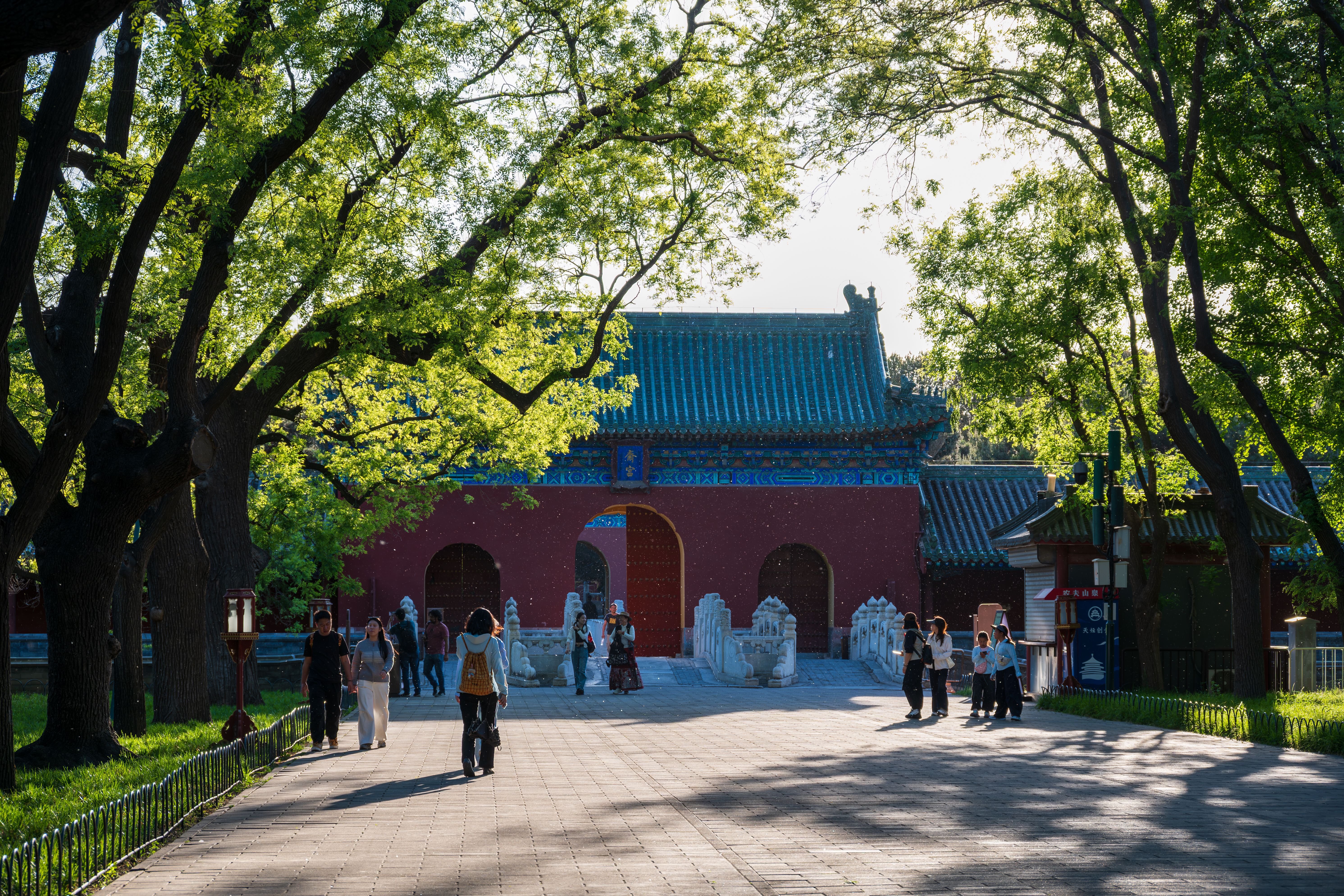 China Travel Guide for Scandinavian & Nordic Visitors 2026: Visa-Free, Flights & Practical Tips