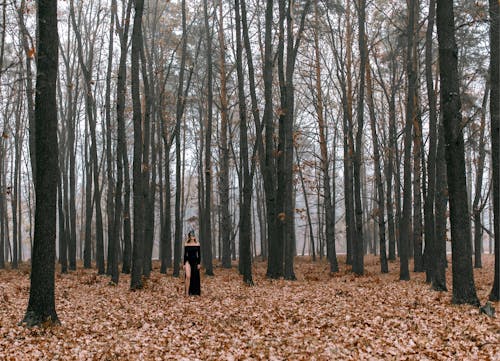 Person in Black Dress Walking on Brown Dried Leaves on Forest