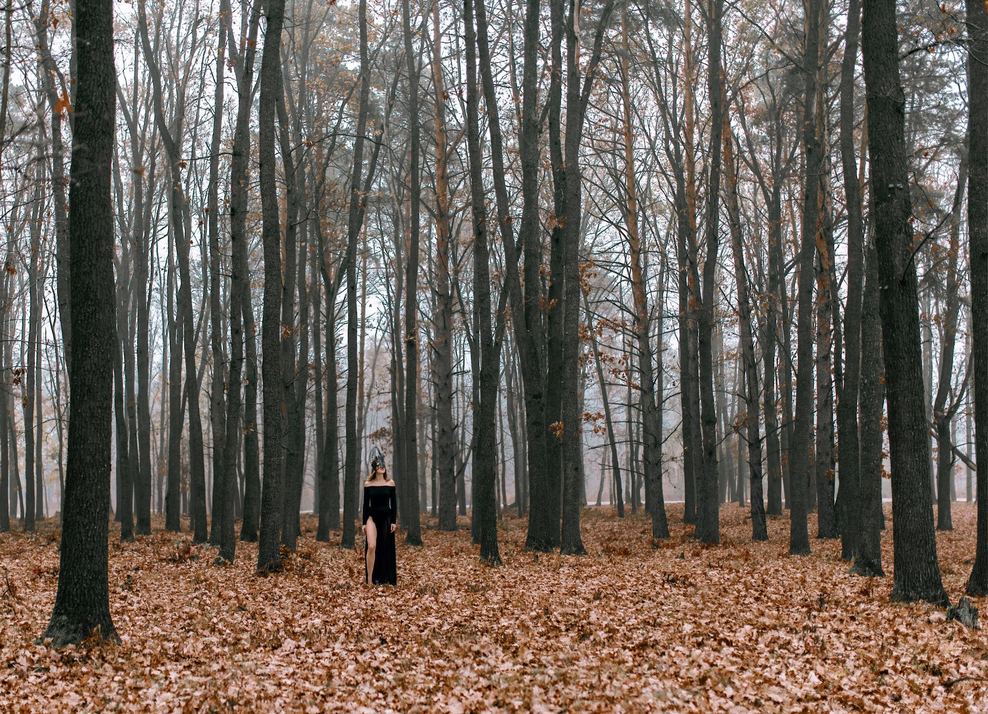 A woman in a black dress walks through a misty autumn forest surrounded by dried leaves.