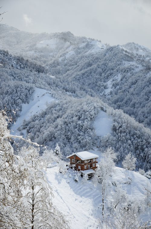 Scenic Photo Of House On Mountain 