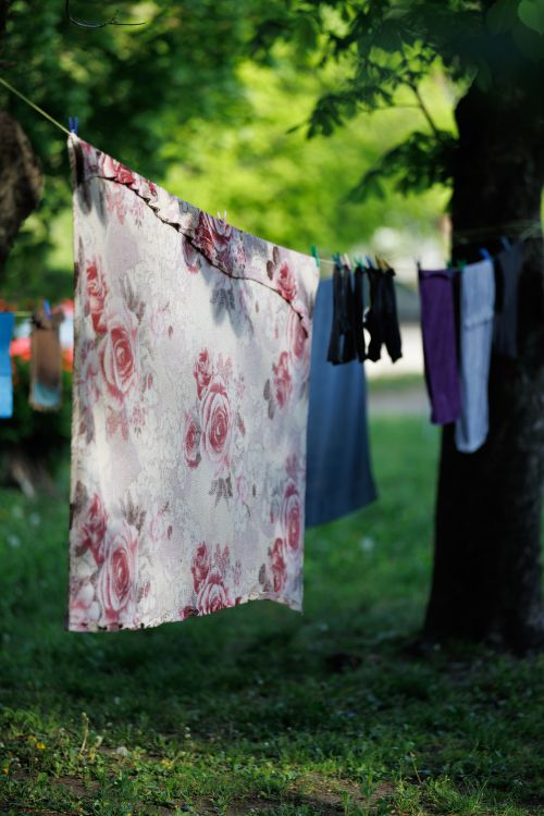 Free Colorful laundry drying on a line in a lush green park in Kaliningrad, Russia. Stock Photo