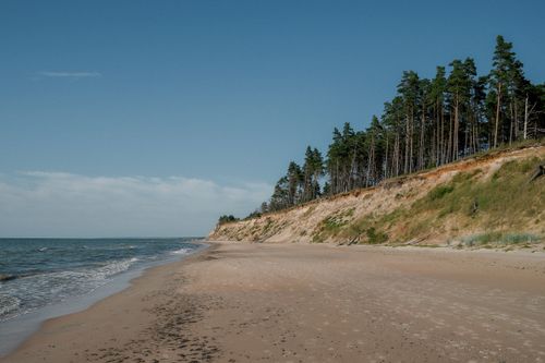Free Peaceful beach with cliffs and pine trees in Jūrkalne, Latvia. Stock Photo