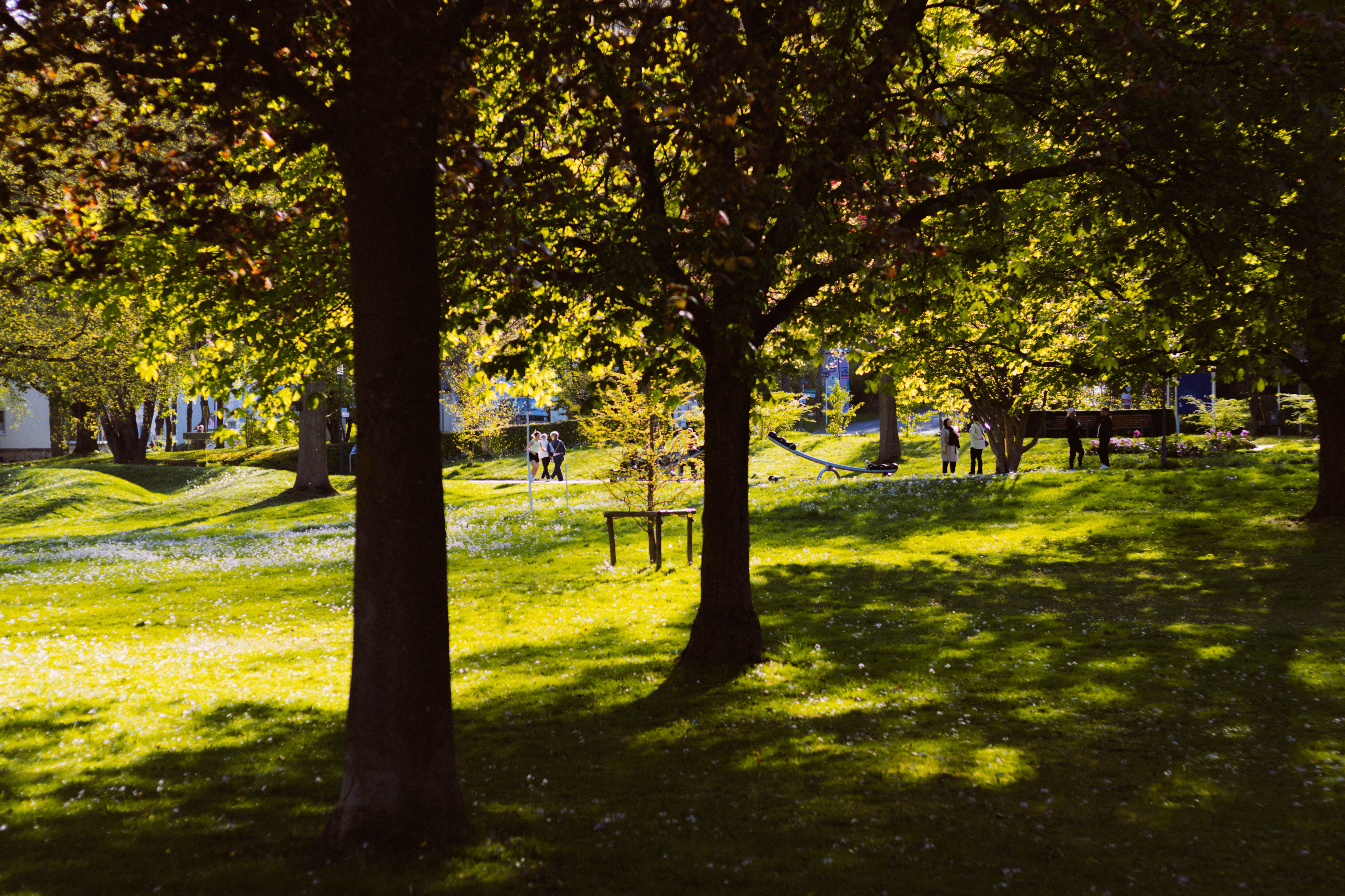 Tranquil Spring Day in Bad Hersfeld Park · Free Stock Photo